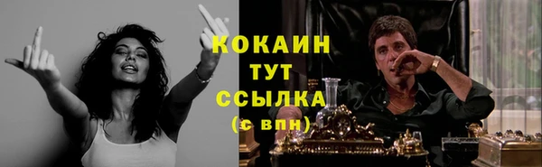 ПСИЛОЦИБИНОВЫЕ ГРИБЫ Карпинск
