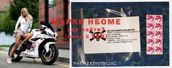 ПСИЛОЦИБИНОВЫЕ ГРИБЫ Карпинск