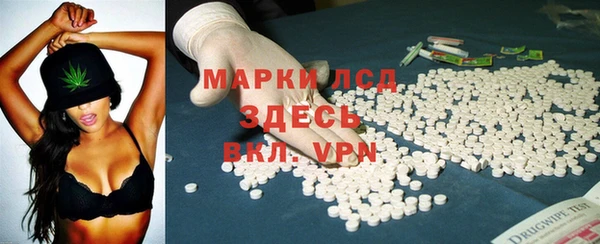 ПСИЛОЦИБИНОВЫЕ ГРИБЫ Карпинск