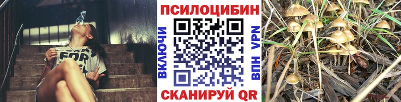 Купить  Пыталово  Псилоцибиновые грибы GOLDEN TEACHER 